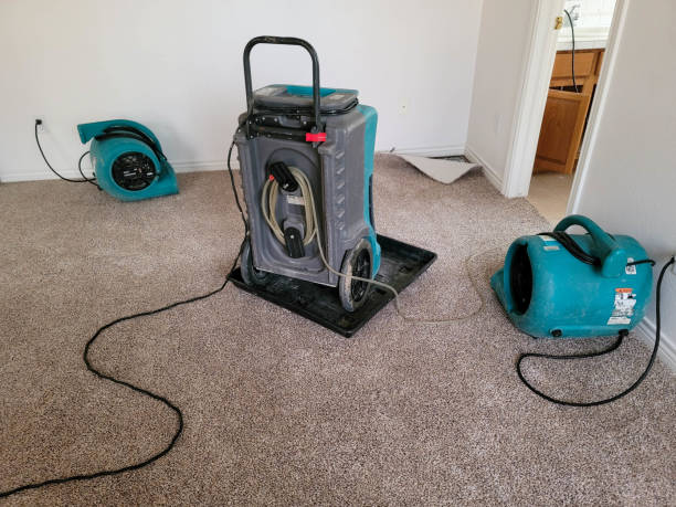 Best Water damage restoration insurance claims  in Holiday Heights, NJ