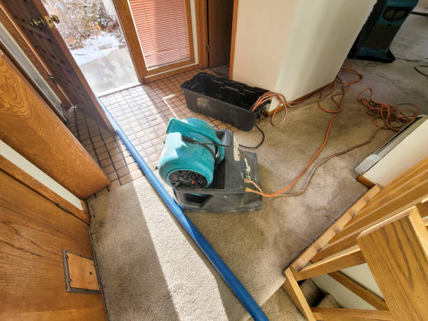 Best Professional water damage repair  in Holiday Heights, NJ