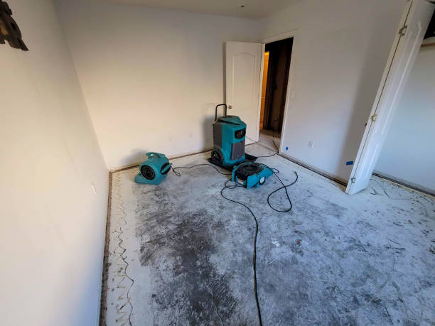 Best Emergency water damage restoration  in Holiday Heights, NJ
