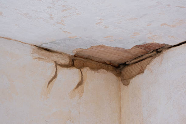 Best Carpet water damage restoration  in Holiday Heights, NJ