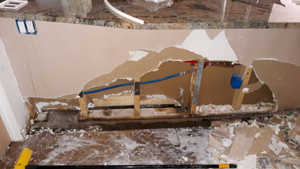 Best Local water damage restoration  in Holiday Heights, NJ
