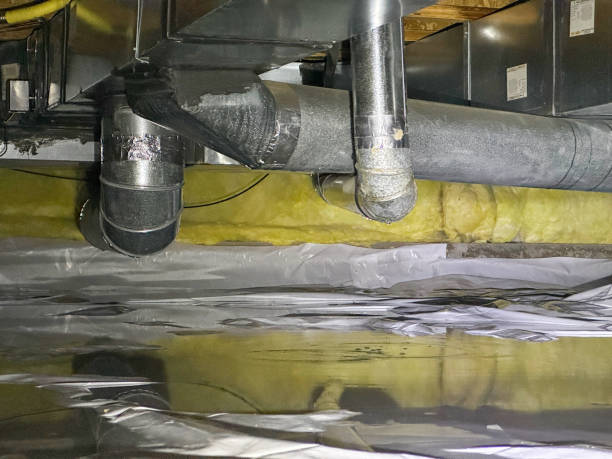 Best Water damage restoration near me  in Holiday Heights, NJ