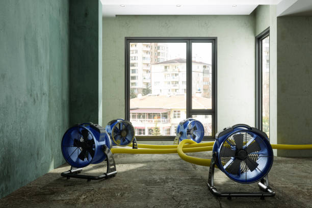 Best Sewage cleanup and water damage restoration  in Holiday Heights, NJ